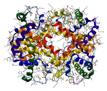 Resultado de imagem para proteinas estruturas