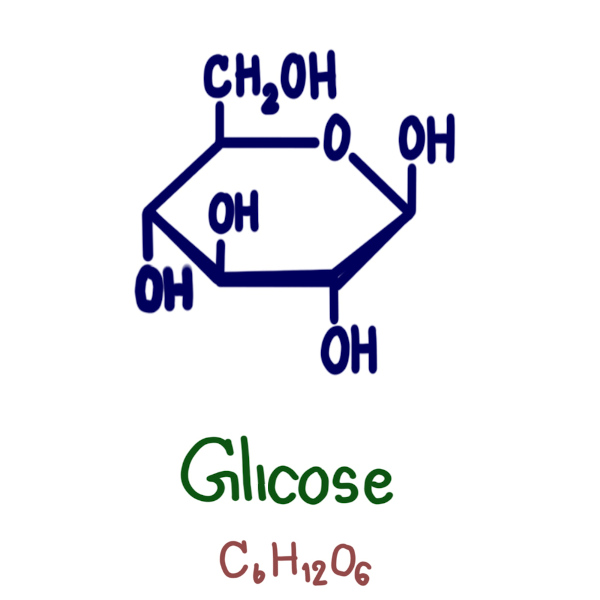  A glicose é utilizada no nosso corpo para obtenção de energia pela célula.