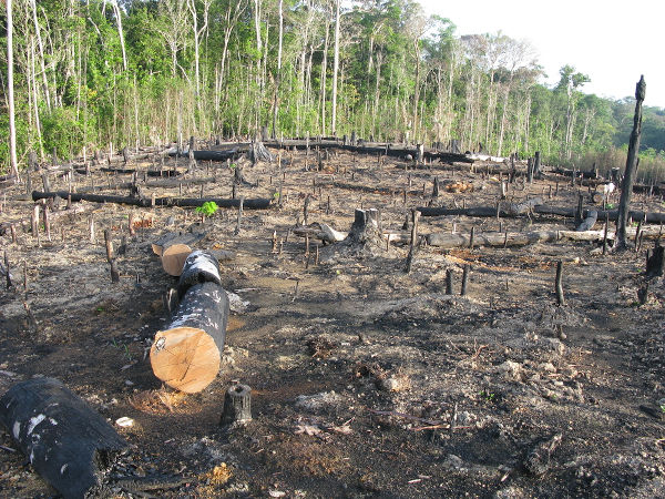 Desmatamento e queimada da Floresta Amazônica.