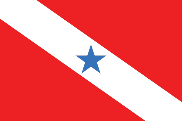Bandeira do Pará.