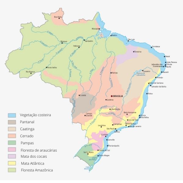 TIPOS DE VEGETAÇÃO NO BRASIL – GEO MODERNA