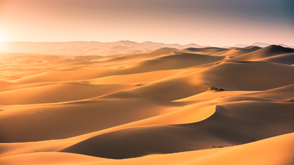 Os desertos são áreas onde predominam o clima árido e a escassez de chuvas, com volumes anuais de 250 mm. A vegetação é bastante rarefeita ou inexiste