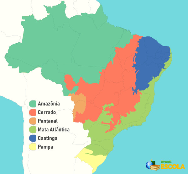 Localização dos biomas brasileiros no mapa.