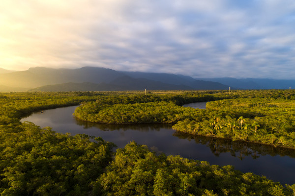 Vista aérea da Floresta Amazônica, com foco no rio Amazonas.