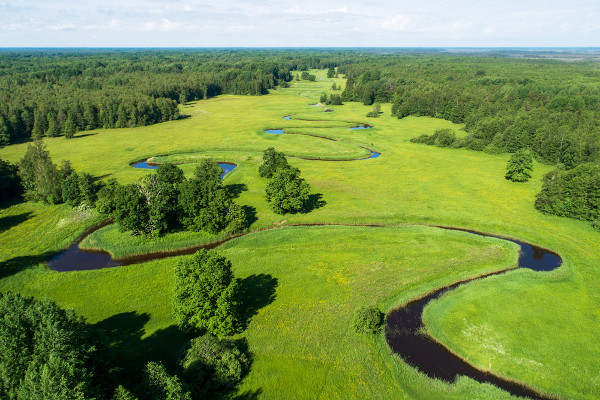 Parque Nacional de Soomaa, na Estônia.