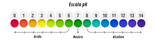 Ilustração da escala de pH com a indicação da acidez da solução de acordo com sua variação de 0 a 14.