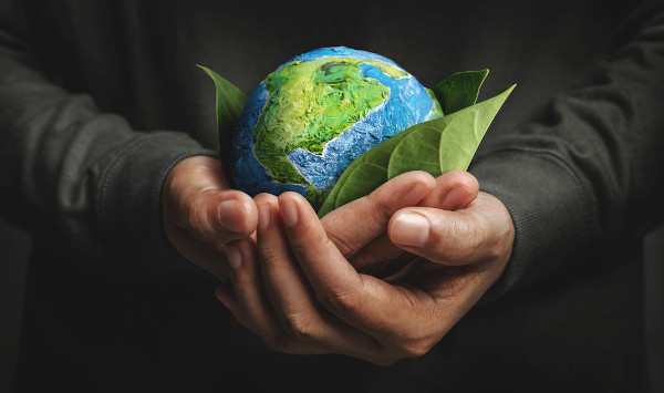 A sustentabilidade ambiental prevê a adoção de práticas voltadas à preservação do meio ambiente para gerações futuras.