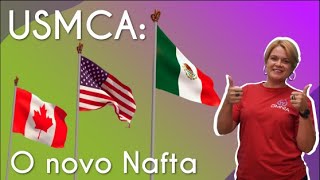 Professora ao lado do texto"USMCA: o novo Nafta" e bandeiras do Canadá, Estados Unidos e México.