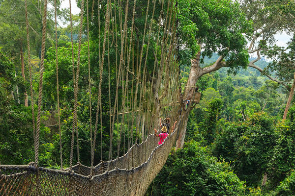 Ponte elevada no Parque Nacional de Kakum.