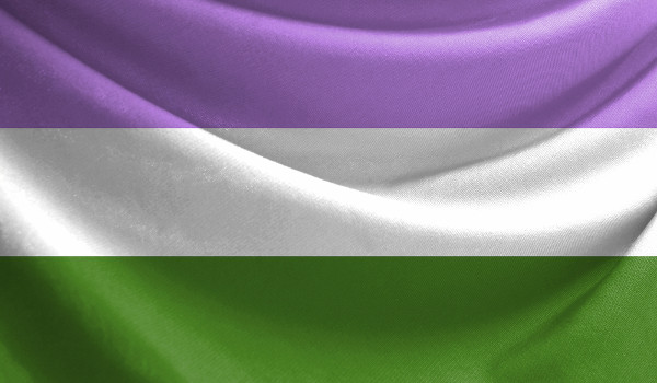 Bandeira do Orgulho Queer