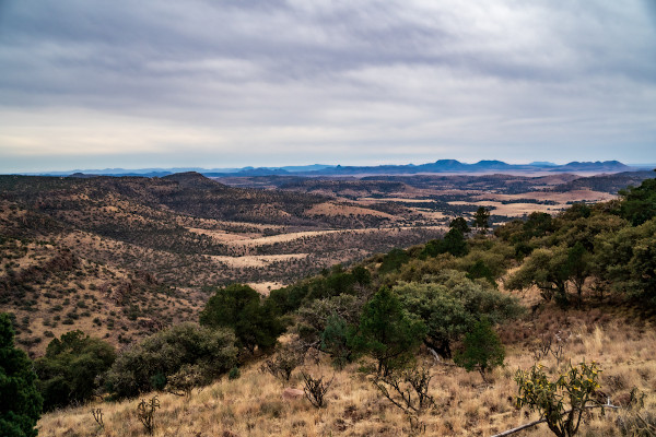 Região do Deserto de Chihuahua, um dos maiores desertos do mundo.