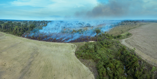 Desmatamento e queimadas em uma região rural, consequências da agricultura.