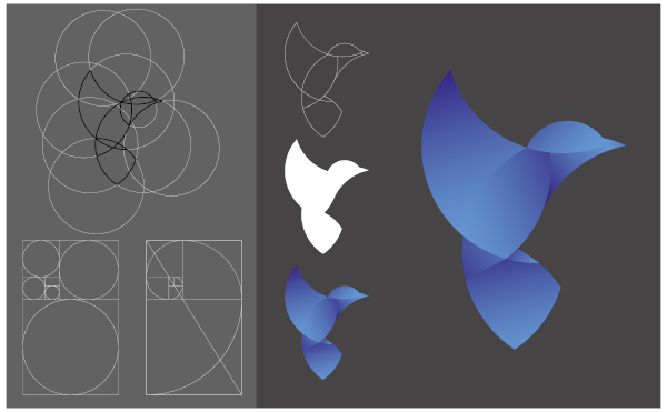 Desenho e esboço de um pássaro, exemplos de proporção áurea no design.