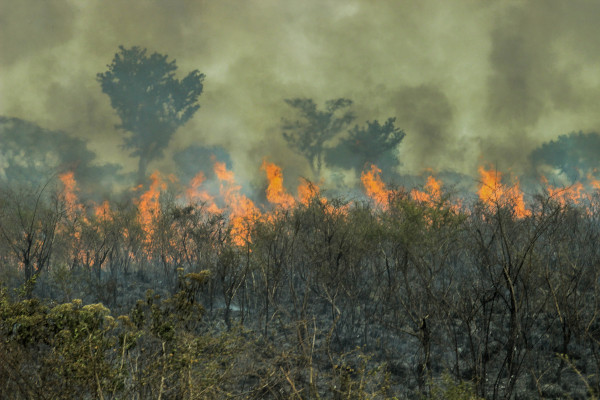 Incêndio na Floresta Amazônica.