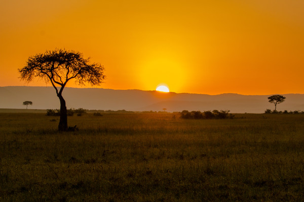 Região de ocorrência da savana, no Quênia, um dos países participantes da União Africana.
