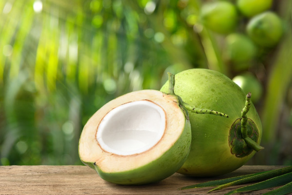 Coco aberto em cima de mesa; ao fundo, um coqueiro.