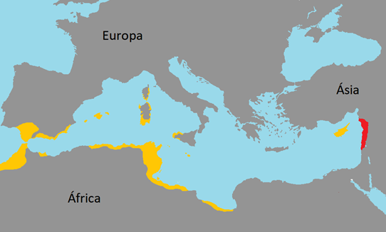 Mapa da localização dos povos fenícios.