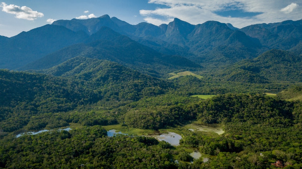 Reserva Ecológica do Guapiaçu, na região da Mata Atlântica, bioma mais afetado pelo desmatamento no Brasil.