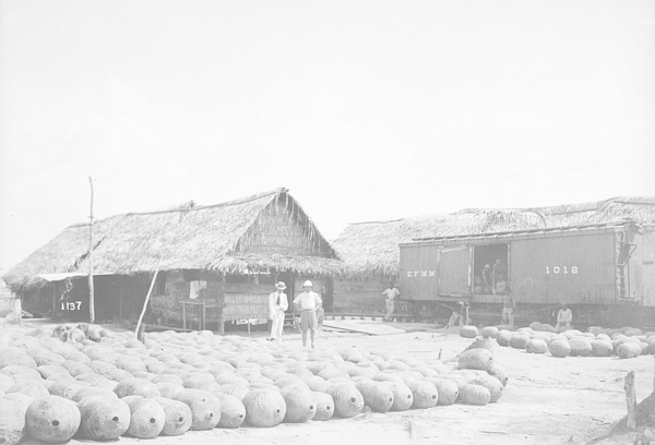 Comerciantes e grandes bolas de borracha em fotografia de 1910, em texto sobre ciclos econômicos do Brasil. 