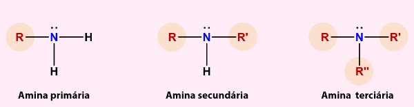 Estrutura de aminas primárias, secundárias e terciárias.