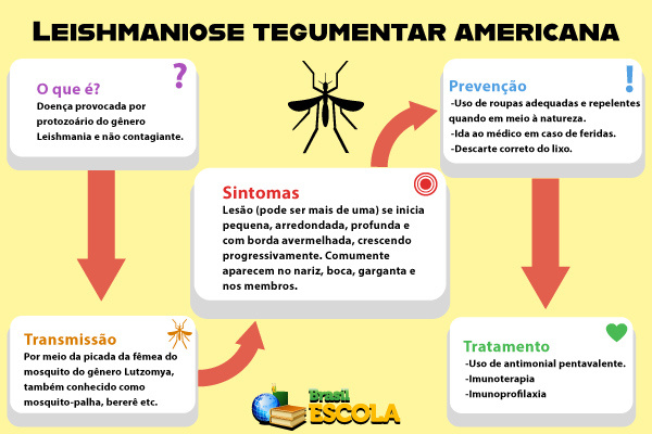 Mapa mental sobre a leishmaniose tegumentar americana