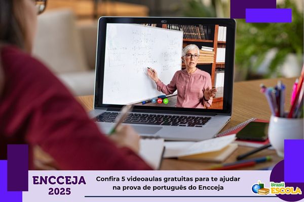 Estudante vendo professora em videoaula pelo notebook