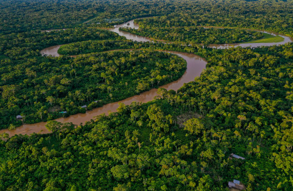 Floresta Amazônica sendo atravessada pelo Rio Amazonas, os dois principais componentes do bioma Amazônia. [imagem_principal]