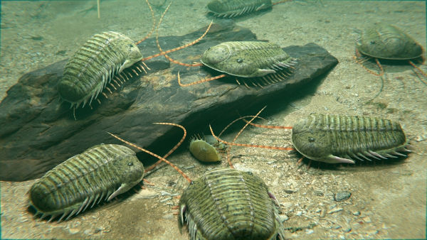 Trilobitas, espécies que surgiram e foram extintas na primeira era geológica do Fanerozoico.