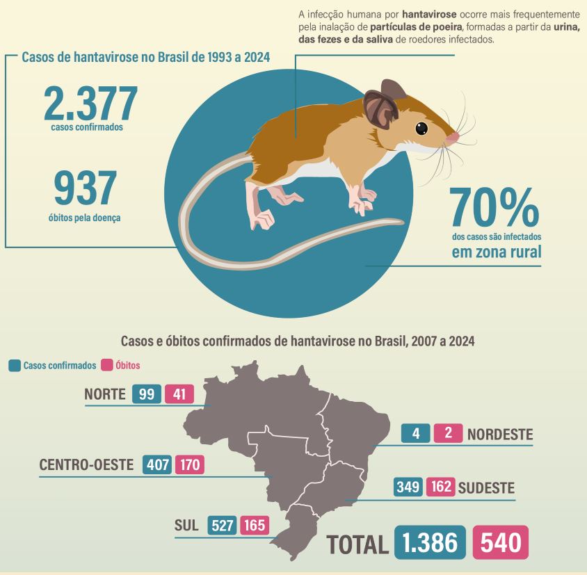 Hantav&iacute;rus no Brasil