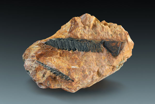 Monazita, um mineral rico em metais terras-raras, um exemplo de subst&acirc;ncia natural.