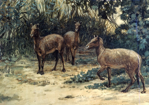 Pintura mostrando os primeiros ancestrais dos cavalos, que surgiram durante o Eoceno.