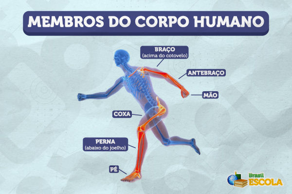Silhueta humana correndo e legendas dos membros do corpo humano.