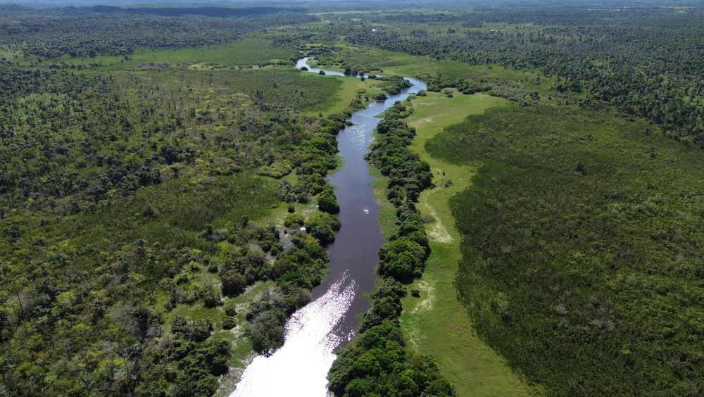 Floresta Amazônica vista do alto. 