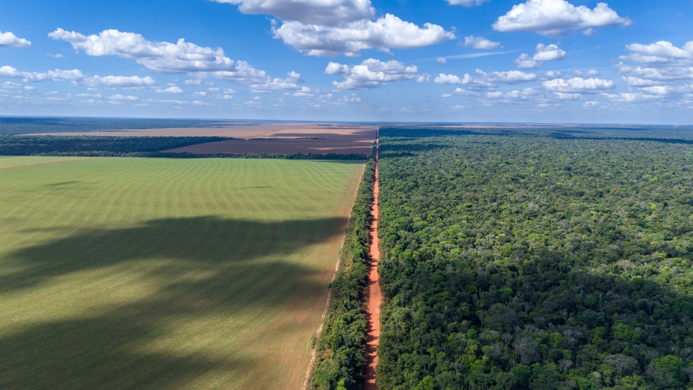 Região de ocorrência de atividade agropecuária, local onde frequentemente pode ocorrer a prática da grilagem.