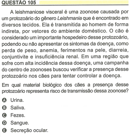 Gabarito Enem 2023 prova cinza: segundo dia