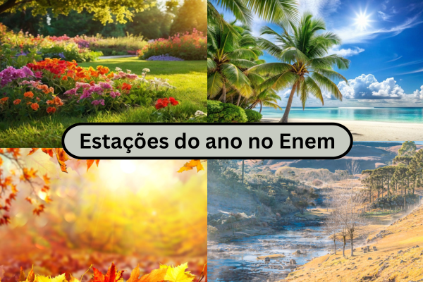 Montagem de primavera, verão, outono e inverno. Na imagem, está escrito: estações do ano no enem