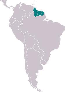 Mapa da América do Sul, com destaque para três países: República da Guiana, Suriname e Guiana Francesa.