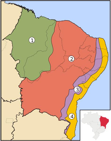 Mapa das sub-regiões do Nordeste: Meio-Norte, Sertão, Agreste e Zona da Mata.