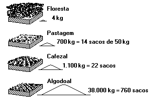 Esquema mostra vários tipos de uso da terra e a perda de solo por hectare.