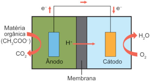 Esquema ilustrativo de células a combustível microbianas (CCM) em questão do Enem sobre eletroquímica.