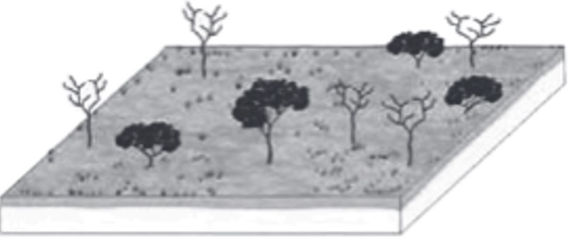 Alternativa A de exercício do Enem sobre cartografia.