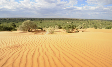 Kalahari Paisagem do Deserto do Kalahari