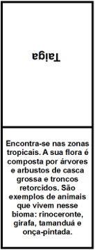 Jogo de dominó - Biomas Brasileiros (Leia a descrição) - Lojinha