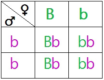 Aplicação do modelo  Jogo da Velha Mendeliano  em (a) e (b) nas
