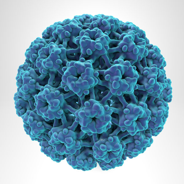 Representação do vírus do HPV em referência ao câncer.