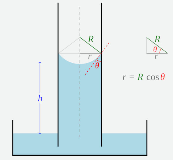 Figura ilustrando a relação entre a capilaridade e a lei de Jurin.